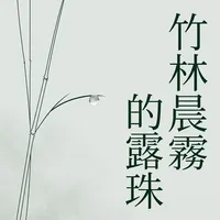 竹林晨霧的露珠