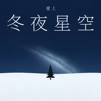 愛上冬夜星空