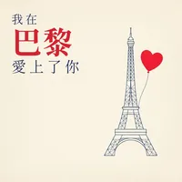 我在巴黎愛上了你