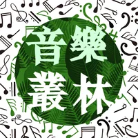 音樂叢林