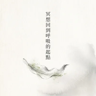 一片葉子的冥想